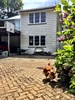 Our neighbours 7 houses down have take free range chickens to the extreme.