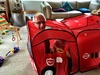 Grandad's head on the bus goes out and in...