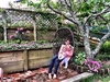 A perfect spot for the new swinging chair. Just need to finish the bricking!