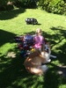 It was over 28 degrees today and no wind. Can't beat it. Just about to enjoy f&c on our lawn with our new friend Hilda the hippo (Gini's birthday present)