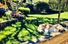It's a dogs life.