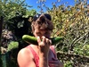 BIG mamma daddy cucumber - ripe for the picking.