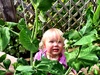 Inspecting the vege garden after a week away. Everything growing nicely! Snow peas have appeared. Potatoes have sprouted.