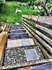 Trying to decide what material to have on the steps leading up to the vege garden and surrounding the vege garden.