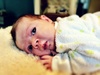 Our little Pixel is one month old already!