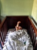Big day! No more sleep sack! The new duvet cover is the start of the move to the big bed. Eeek. Better start looking at beds! The first night went well and covers stayed on.