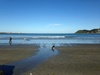 Just the four of us. Enjoying our family. And spotting hairy maclary dogs at the beach.