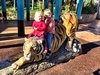 We ventured to the zoo on a beautiful day. We got up close to the tiger and Olive loved the creepy crawlies. Iris slept like a baby.