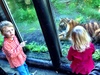 We ventured to the zoo on a beautiful day. We got up close to the tiger and Olive loved the creepy crawlies. Iris slept like a baby.