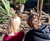 We ventured to the zoo on a beautiful day. We got up close to the tiger and Olive loved the creepy crawlies. Iris slept like a baby.