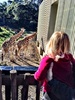 We ventured to the zoo on a beautiful day. We got up close to the tiger and Olive loved the creepy crawlies. Iris slept like a baby.