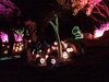 Helen and Robin shouted us a night out to the light and sound show at the botanicals. It was really great!