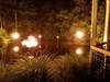 Helen and Robin shouted us a night out to the light and sound show at the botanicals. It was really great!