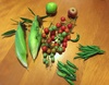 Not a bad vege garden haul. Olive went straight for the lone raspberry. First taste of our apples - they were yum.