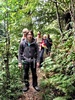 A lovely walk in Wilton bush to see 