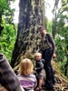 A lovely walk in Wilton bush to see 