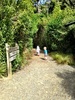 A lovely walk in Wilton bush to see 