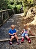A lovely walk in Wilton bush to see 
