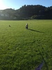 A late afternoon buggy walk around the park. All went well until olive decided that she 'wanted to cuddle the ducks' and went off road, and it was a very slow drag walk home.