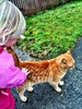 Olive loved the ginger cat on the way to the park. And the fluffy to follow. And the muddy puddles!