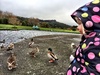 Daddy day with a Chicken Pox child on a rainy day limits your options, but we managed a visit to Mitre 10 Mega and a duck pond.