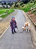 A crisp walk with olive in control of Lyon. She has became very assertive with telling Lyon what he should and shouldn't be doing. Meanwhile a little later around the park stated 