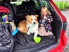 The drive up to Taupo was a great success. Hit the road by 7.30am, one stop at flat hills then the final leg to Taupo. The iPad helped out on the final leg with Olive watching Frozen.