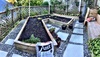The Vege garden is in full swing again. Potatoes, tomatoes, chilis, beans, snow peas, carrots, beetroot, herbs. The apple tree is looking great and the raspberries are forming. Hoping for a good yield this year!