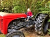 We ventured out to staglands after a 2.5 year gap with Anthony, Lana and Nige. Had a lovely afternoon and wondered why we don't go more often. Olive loved the tractor ride and the swing bridge. She was a little wary of some of the larger birds and the cheeky horse but had fun throwing food at them anyway.