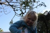 We have finally got blossoms! Spring is here!