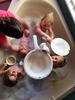 4 in the bath in Taupo