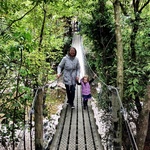 The swing bridge is always a hit