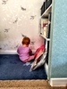 Iris loves cruising around the place. Under the table is a jungle gym and my office she is so busy!