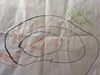 A while back when we had our live in guest Rosie the caterpillar, Olive drew some lovely pictures of what was happening. The first drawing was Rosie inside her green & gold cocoon, with leaves. The second was Rosie as a orange butterfly in a black cocoon with a green swan. Third was Rosie flying with her big orange wings and legs. Just magic.