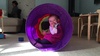 This kept Iris amused for a good 30 minutes. Iris tunnel of love!