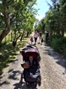 A walk and scoot into martinborough town square. All the kids did really well, hot!