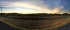 A beautiful sunrise on the early morning Irinee walk.