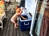 Ice thief.