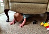 Iris got up to all sorts of mischief while mummy and Olive were at Kindy and Nan had left. Including taking the bottle!