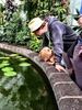 We checked out the begonia house and the lovely lilies and fish before coffee, smoothies & scones. Need to do some exercise next week! Milla loved Olive's sparkly dress and Iris gets a cuddle from Milla at any opportunity. Too cute.