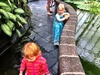 We checked out the begonia house and the lovely lilies and fish before coffee, smoothies & scones. Need to do some exercise next week! Milla loved Olive's sparkly dress and Iris gets a cuddle from Milla at any opportunity. Too cute.