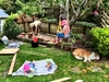 Patio in a day. A warm sunny day hanging in the garden. Iris had her first swing and Olive enjoyed pushing her. Olive enjoyed helping with the sand collection and watching daddy working from the swing chair.