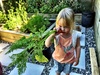 Olive LOVES the carrots straight from the garden. They do taste sweeter.