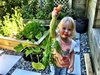 Olive LOVES the carrots straight from the garden. They do taste sweeter.
