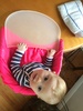 The home made kayak cover/ pink tutu is working wonders on keeping our lobster clean! Easy for Iris to find her food too.