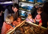 We met the Prossers at the island bay aquarium. Olive was a little braver this time and touched a starfish! We all enjoyed the octopus feeding. That thing is amazing. After, we managed a nice lunch in the sun at spruce goose.