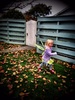 We enjoyed the autumn leaves and the walk to kindy with our fairy this morning. Week two begins with no Tom at home...