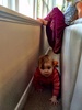 Latest interest, she has found a tunnel behind the couch. Iris is starting to understand simple games, chase, hide and seek, finding things under cups, and always comes up for a cuddle.