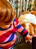Iris has been really interested in Lyon of late. She can pat gently and wants to touch nose and eyes (poor patient Lyon) the minute she joins him in his bed, he has gone, the dog bed is a favourite play area too.