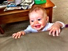 Trouble cakes has been getting up onto everything. We're not ready for this!